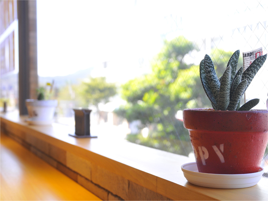 カルネスタの写真6