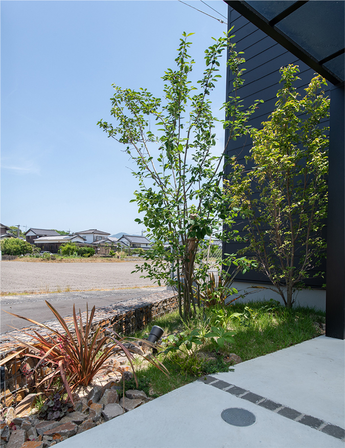 memories〜想いで〜の写真7