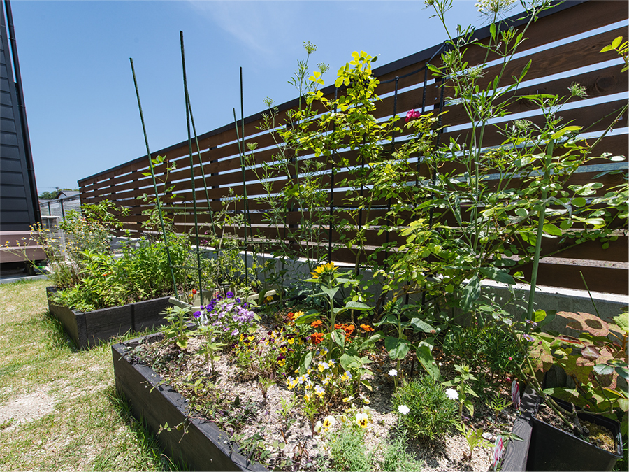 memories〜想いで〜の写真4