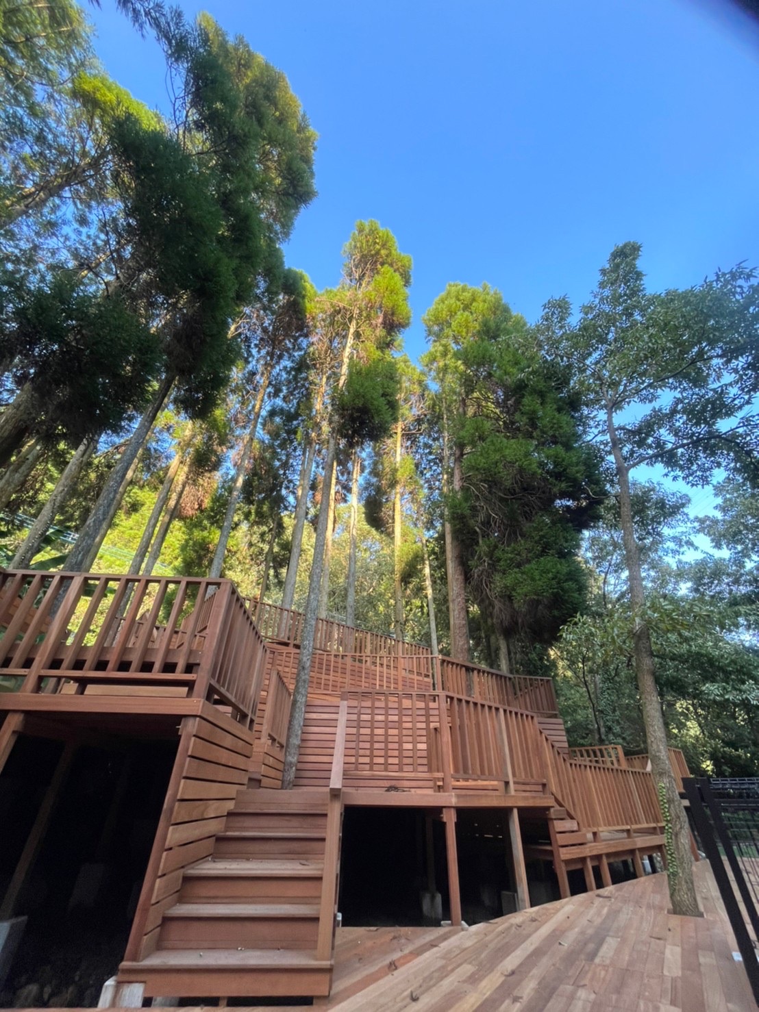 フィッシングリゾートの写真4