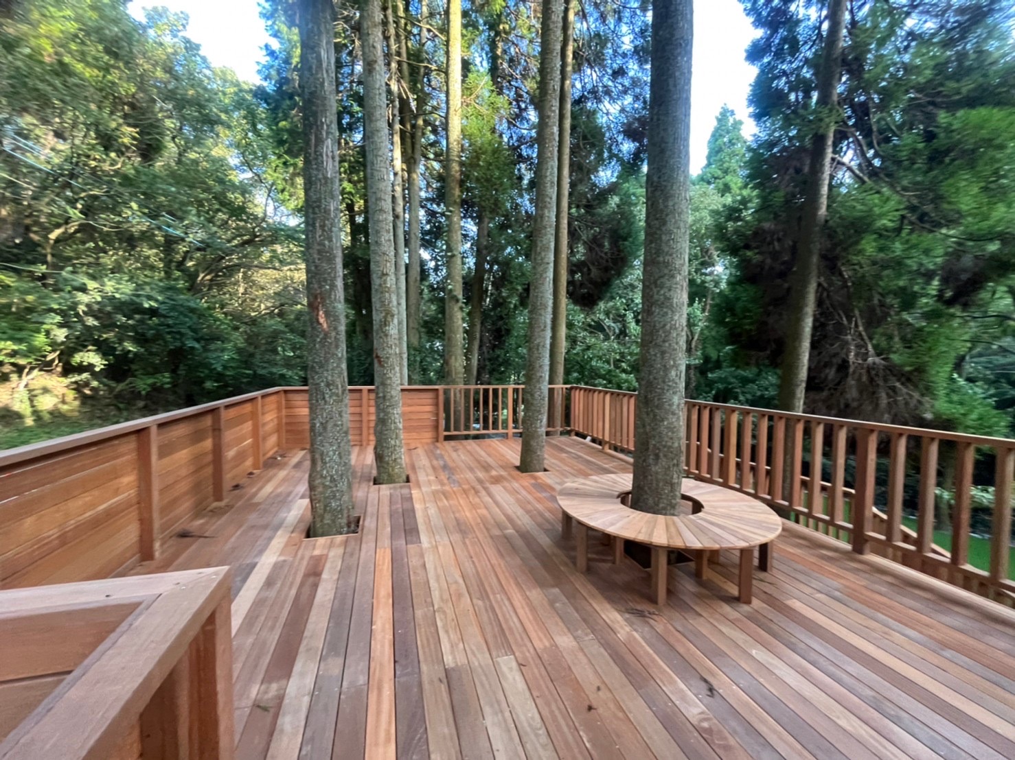 フィッシングリゾートの写真6