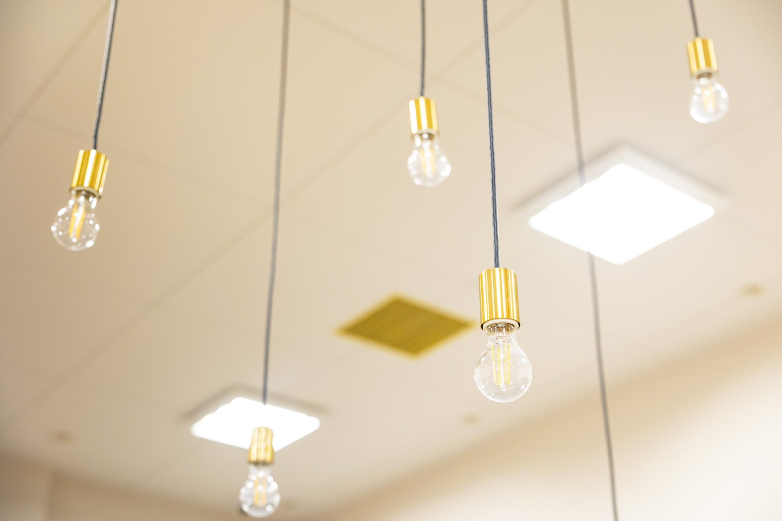 コソラんちの写真5